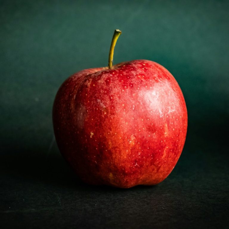 Enseignements techniques et professionnels